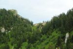 2014-07-05_Laengental-N-Hochweg (902). JPG